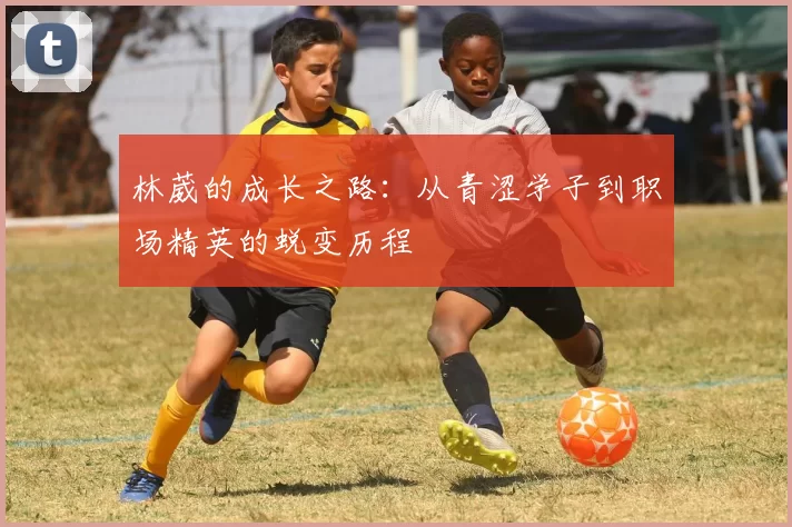 林葳的成长之路：从青涩学子到职场精英的蜕变历程