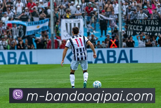 半岛棋牌APP 高清赛事图